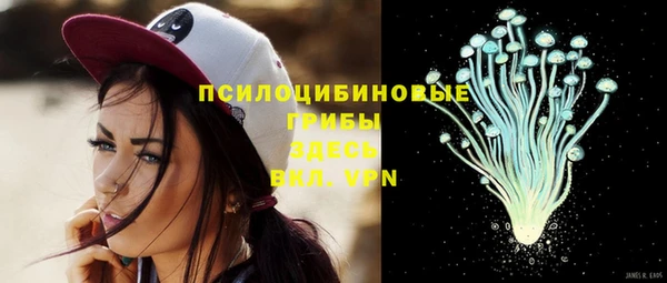 ешки Заводоуковск