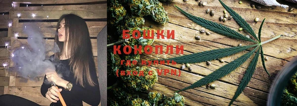 ешки Заводоуковск