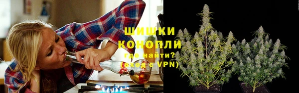 ешки Заводоуковск