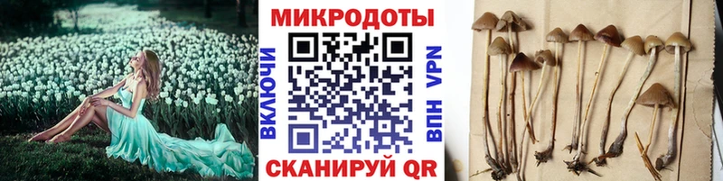 наркошоп  Знаменск  Псилоцибиновые грибы мухоморы 